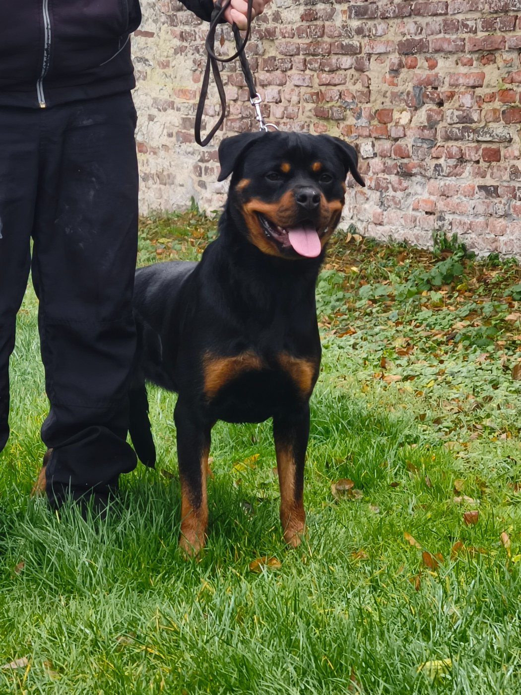 Vy Des Guerriers De Leia